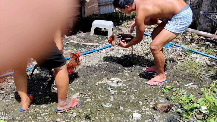 Na Traning ng maayos si Pula .💪🔥