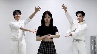 金俊奎 x 金道荣 x 吴海媛《MOVE》舞蹈挑战