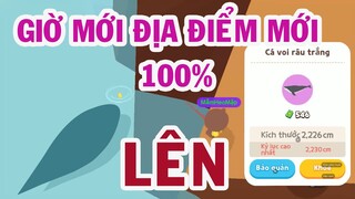 PLAY TOGETHER| cách câu voi râu trắng địa điểm và thời gian câu mới game play together|Mắm TV