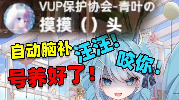 蓝毛小狗养成日记