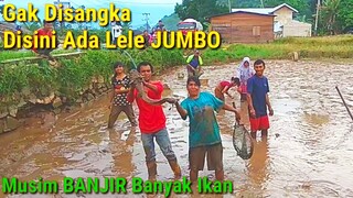 Musim BANJIR Tiba - Banyak Warga Panen Ikan