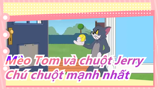 Mèo Tom và chuột Jerry|Tớ muốn gọi cậu là chú chuột mạnh nhất