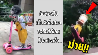 รวมคลิปตลกๆ : เเบบนี้ก็รีบเกิ๊นนน