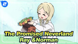 The Promised Neverland|[Hand Drawn AMV]Ray &Norman_2