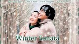 Winter Sonata The Series Episode 1 (Indosub)