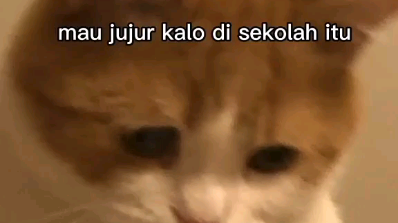 Di fyp gweh isinya ayank2 an semwa..cafeekk