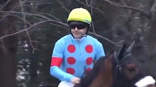 【Horse Racing】Famous horses with a beautiful end