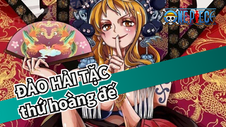 ĐẢO HẢI TẶC| Ai là thứ hoàng đế mạnh nhất？