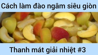 Cách làm đào ngâm siêu giòn thanh mát giản nhiệt #3