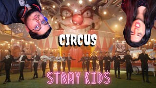 Stray Kids 『CIRCUS』MV | REACTION | Siblings REACT