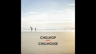 Chill hop vs. Chill house: A Lush Blend of Beats & Basslines