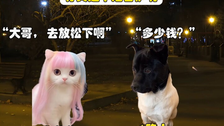 当代女菩萨，8年不涨价 #真实事件 #猫meme