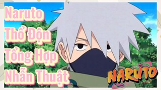 Naruto Thổ Độn Tổng Hợp Nhẫn Thuật