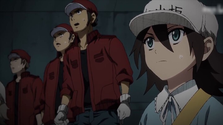 [ Cells at Work! BLACK] The ending of "Blood Boss"! I hope everyone can have a healthy body~