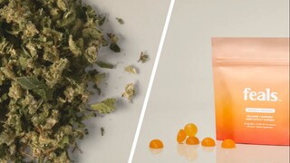 The Rise of Feals Gummies Review in the Wellness Industry