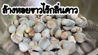 เทคนิคล้างหอยแครงขาวสะอาดไร้กลิ่นคาว |บ้านน้ำยำ สร้างอาชีพ