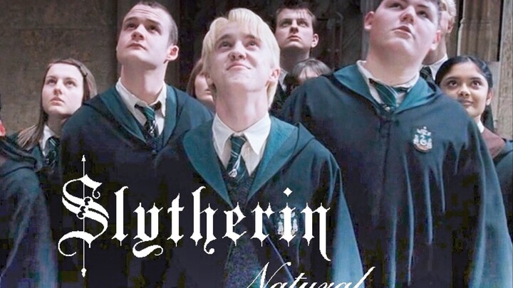 [Tổng hợp]Slytherin, nơi cậu đạt tới tỉnh cao|<Harry Potter>|<Natural>