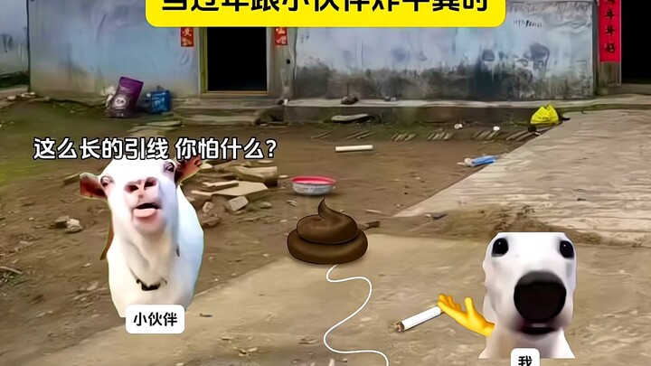 当过年跟小伙伴炸牛粪时