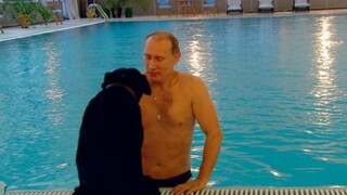 Film dan Drama|Vladimir Putin Berenang