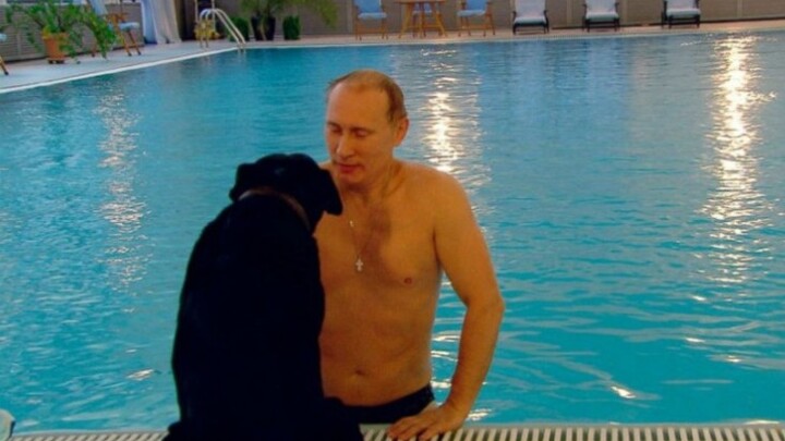 Film dan Drama|Vladimir Putin Berenang