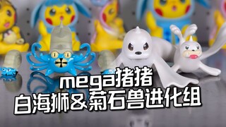 本质图鉴来袭，mega猪猪白海狮&菊石兽进化组