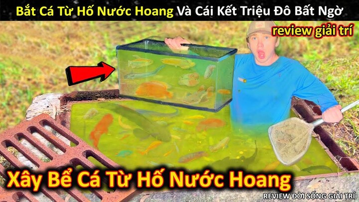 Bắt Cá Từ Hố Nước Bỏ Hoang Và Cái Kết Bất Ngờ Với Bể Cá Triệu Đô || Review Giải Trí Đời Sống