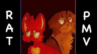 RAT - Squirrelflight PMV