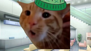 [Cat Meme] Tới vụ án với Momo: Nhân tình đâm vợ cũ ngay hiện trường ngoại tình