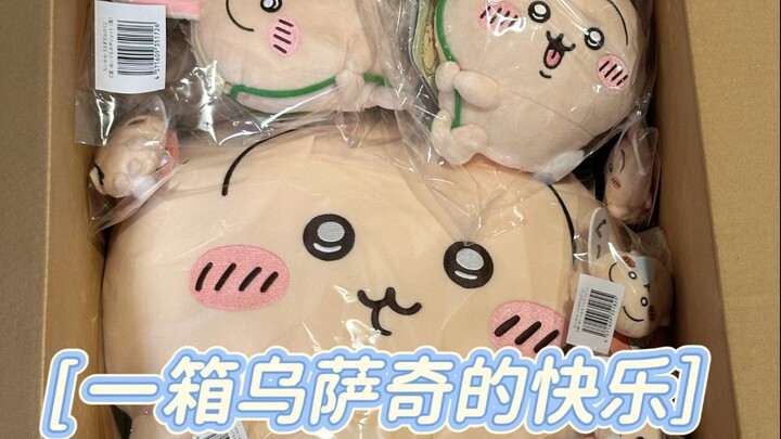 【Chiikawa】打开一整箱乌萨奇的快乐