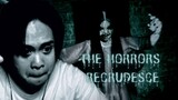 The Horrors : RECRUDESCE