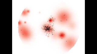 Time-Lapse Showing the Foraging Behavior of C. elegans