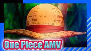 I Can't Protect Anything If I Don't Defeat You | One Piece