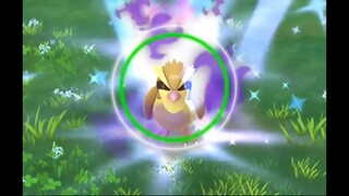 Pokémon GO-Shadow Pidgey