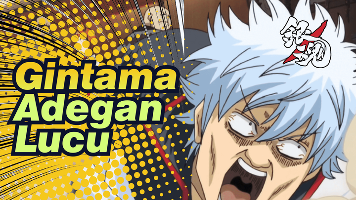 [Adegan Lucu Gintama]Tidak ada alasan untuk memeras