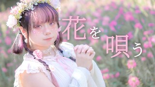 【樱花Sakura】花を唄う/歌颂花束  【HB  to  铃】