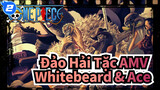 [Đảo Hải Tặc AMV] Trận đấu trong vinh dự vĩnh cửu Whitebeard & Ace_2