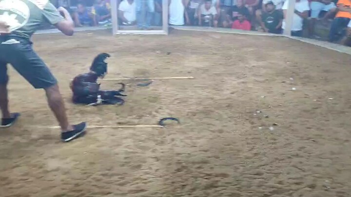 Pilipino Warrior