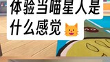 第一视角当猫，逐渐理解猫乐，变态起来🐱