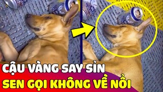 Cậu vàng quá chén mà 'SAY XỈN' đến mức Sen gọi' mãi KHÔNG DẬY về nổi 😅 Gâu Đần