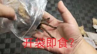 开袋大蜘蛛竟然非常激动！我也激动了！