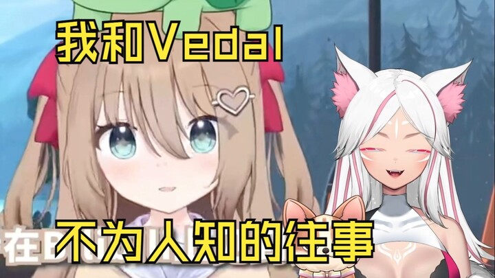 【锐评】Neuro来b站很好，但我和Vedal曾经的故事就得好好考虑该怎么说了