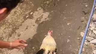win