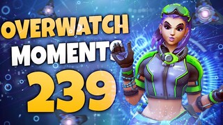 Overwatch Moments #239