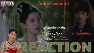 REACTION สามบุปผาลิขิตฝัน EP36 : ไปต่อหรือพอแค่นี้