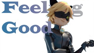 【Miraculous | Chat Noir】黏人小猫