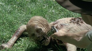 TWD: S1EP1 (The Walking Dead)