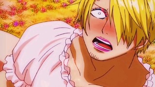 Dua tahun terakhir ini merupakan tahun yang sangat berat bagi Sanji.