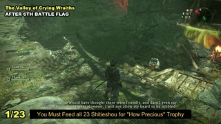 Wo Long all 23 shitieshou guide trophy