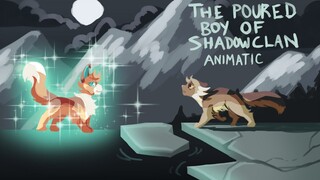 The Poured Boy of Shadowclan - Dawnpelt and Flametail (Storyboard)