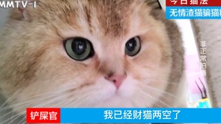 无情渣猫 骗吃 骗喝 骗感情！（模板）